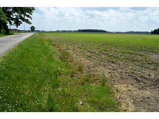 Property photo 4 - LAND AUCTION - 700+/- ACRES OFFERED IN 16 TRACTS IN ALLEN COUNTY, INDIANA